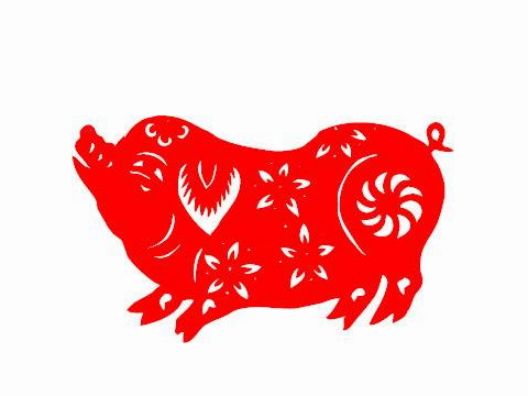 1995年出生的是什么？今年多大了？2021