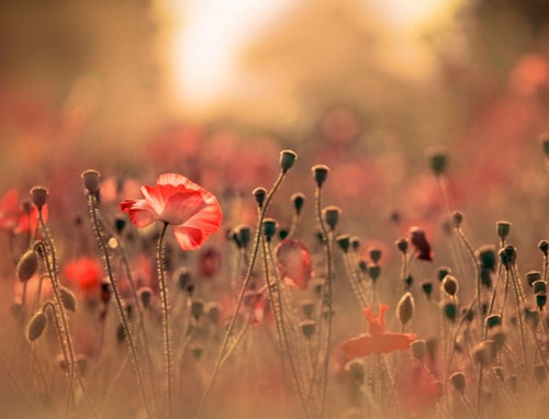 个性化的QQ群名称