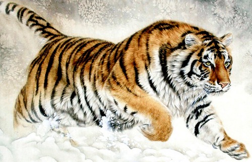 虎年宝宝是什么时候出生的