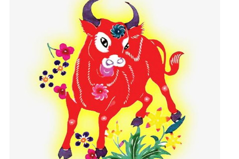 生肖男一生中运气不佳