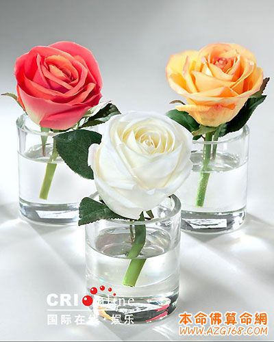 办公楼里的花卉风水