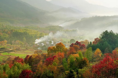 八字适合什么职业