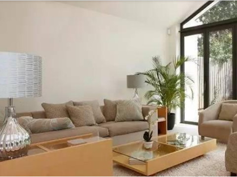 客厅植物的布置要注意一些风水问题