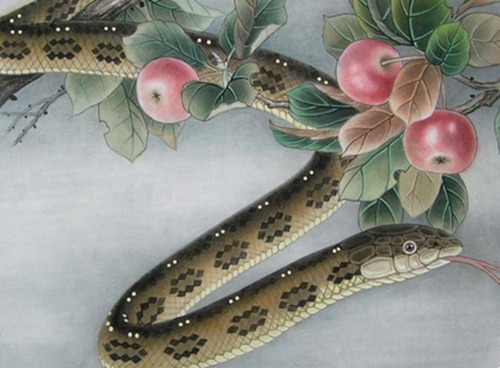 十二生肖蛇最佳情感伴侣