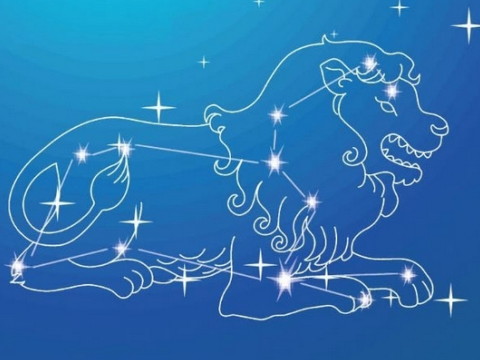 狮子座如何走出爱情