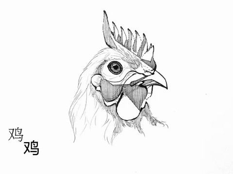 生肖鸡最倒霉的年龄属于鸡的三栏