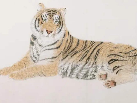 2021年老虎买房合适吗?买房有哪些注意事项