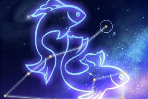 2020年事业最红火的星座