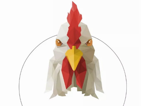 一个生在小鸡时期的男孩的命运是丑陋的吗