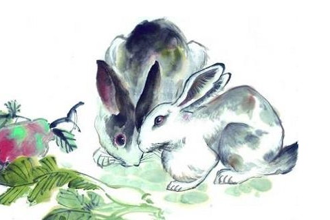 爱情是2019年下半年的好生肖