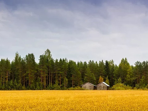 简·金峰的婚姻适合她吗？