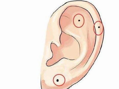 有痣的最聪明的人在哪里