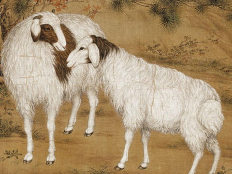 1991年，这只羊在29岁时被杀死。1991年，这只羊在29岁时被杀死