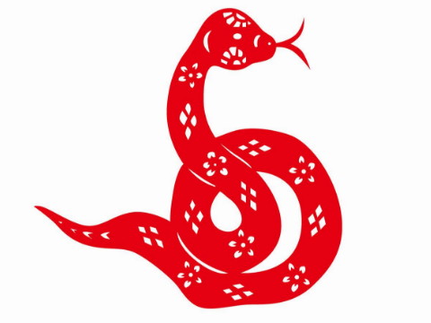 是蛇人最好的吉祥物装饰