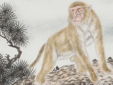 1992年猴子的最佳搭配是什么