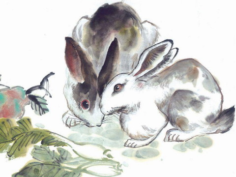 1999年9月一只兔子的生活怎么样