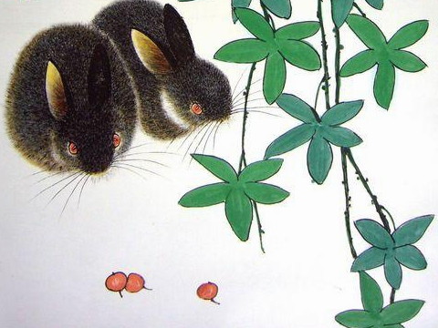 2021年兔子穿的最红火的东西是什么