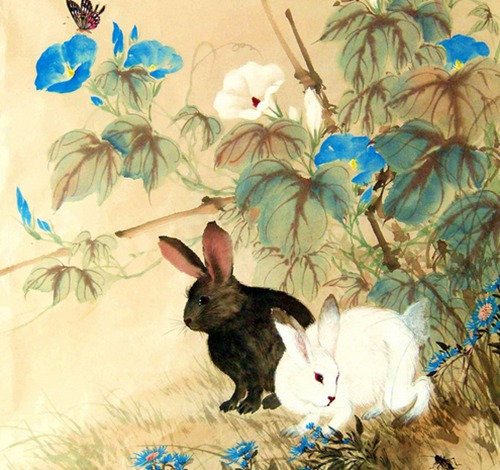 生肖兔最佳婚配