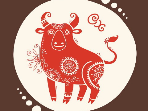 奶牛出生那年我应该穿什么