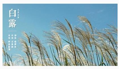 白露节气知识