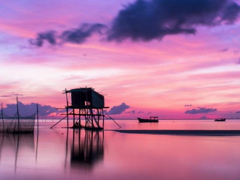 嘉荫节婚姻不幸福怎么说