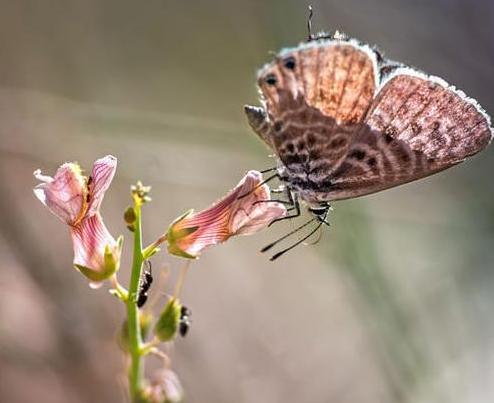 男生六字霸气网名