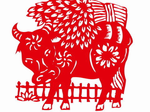 2021年牛人应该注意什么