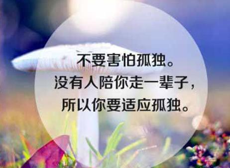 南盛玄苦王明大泉