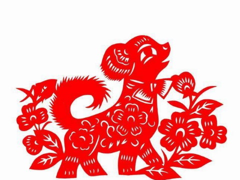 94什么最适合狗