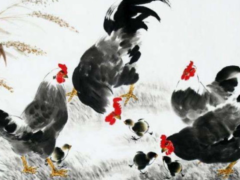 2021年2005年鸡的幸运色是什么