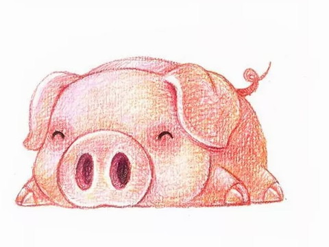 一个小时候出生的男孩的命运是什么