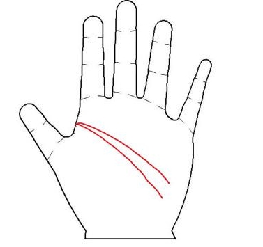 智慧线有两个标志是为了什么