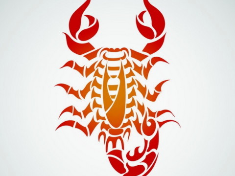 获得天蝎男的必杀技