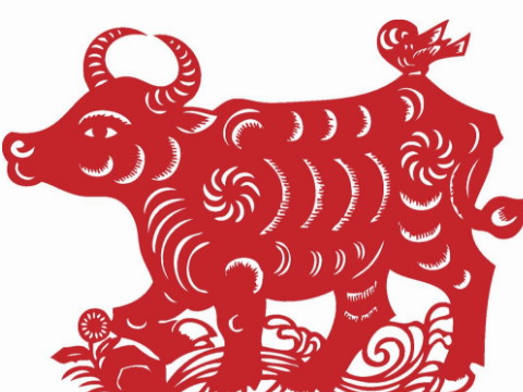 生肖牛和女人最怕出生几个月