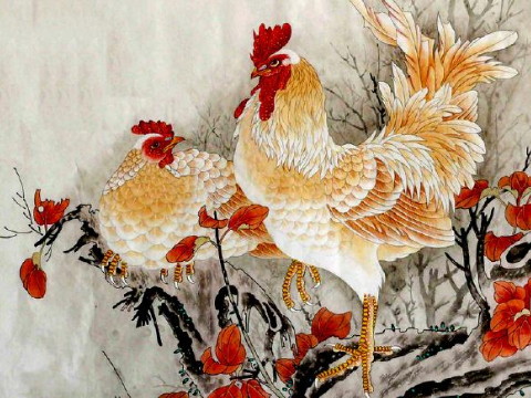 生肖鸡的优越婚姻