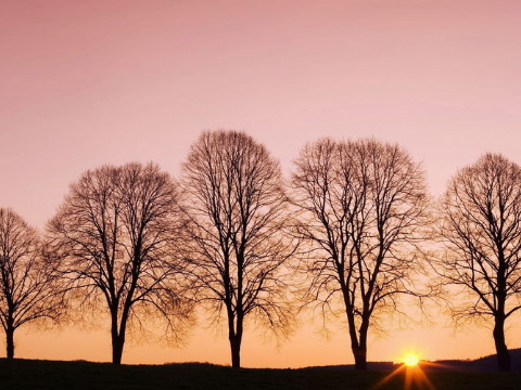 二婚八字 会有二婚的女人八字特征