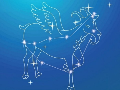 摩羯座女生在恋爱中的表现