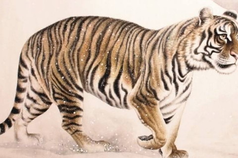 2020年不适合生孩子的属