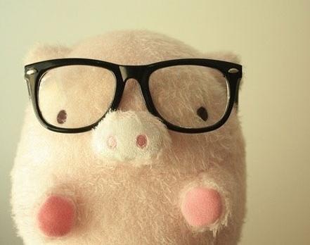 生肖猪速度匹配阶段