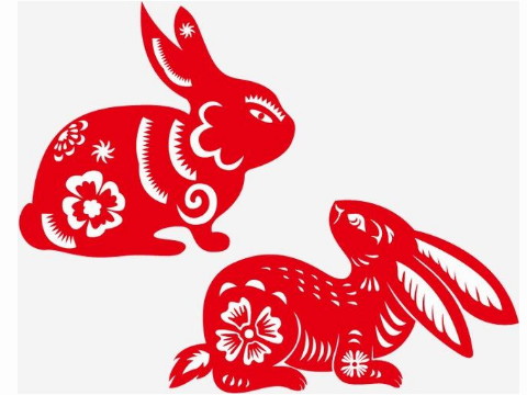 1999年兔子和女孩的婚姻什么时候到来