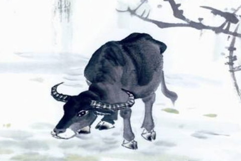 一流生活的标志是什么