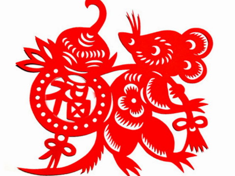 1996年出生的是什么？今年2021有多大