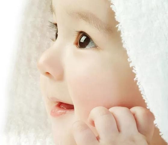 金子旁边的女孩叫什么名字