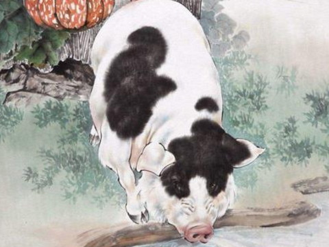 2021年1959年的猪人多大了