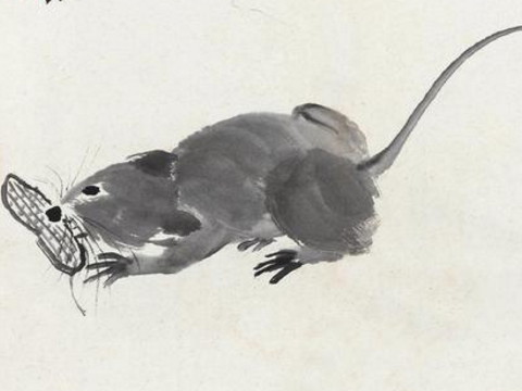 属于2021年上半年老鼠的运势