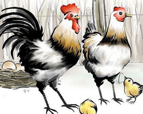 属鸡的人出生时辰运势