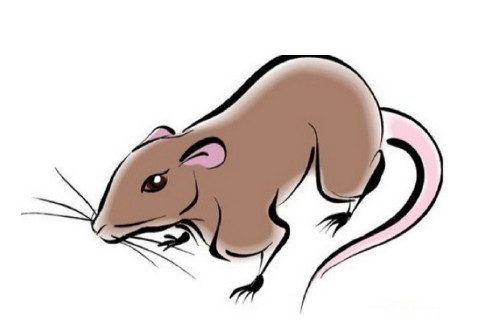 最能打败女人的生肖男