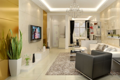 注意客厅的风水植物