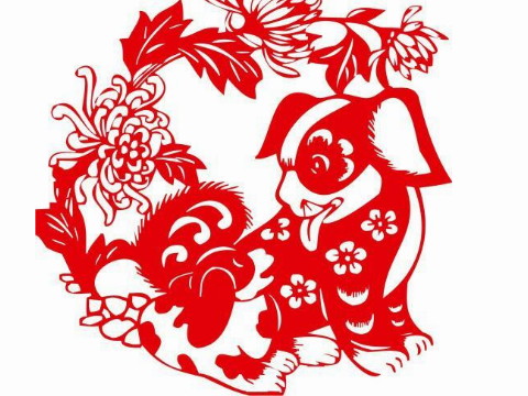 最有效的解决惩罚的方法是太老了。2021年是如何化解狗狗的惩罚的