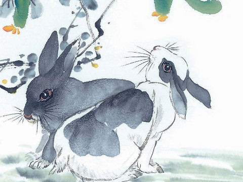 1987年，是兔女郎王福吗？你有王福的命吗